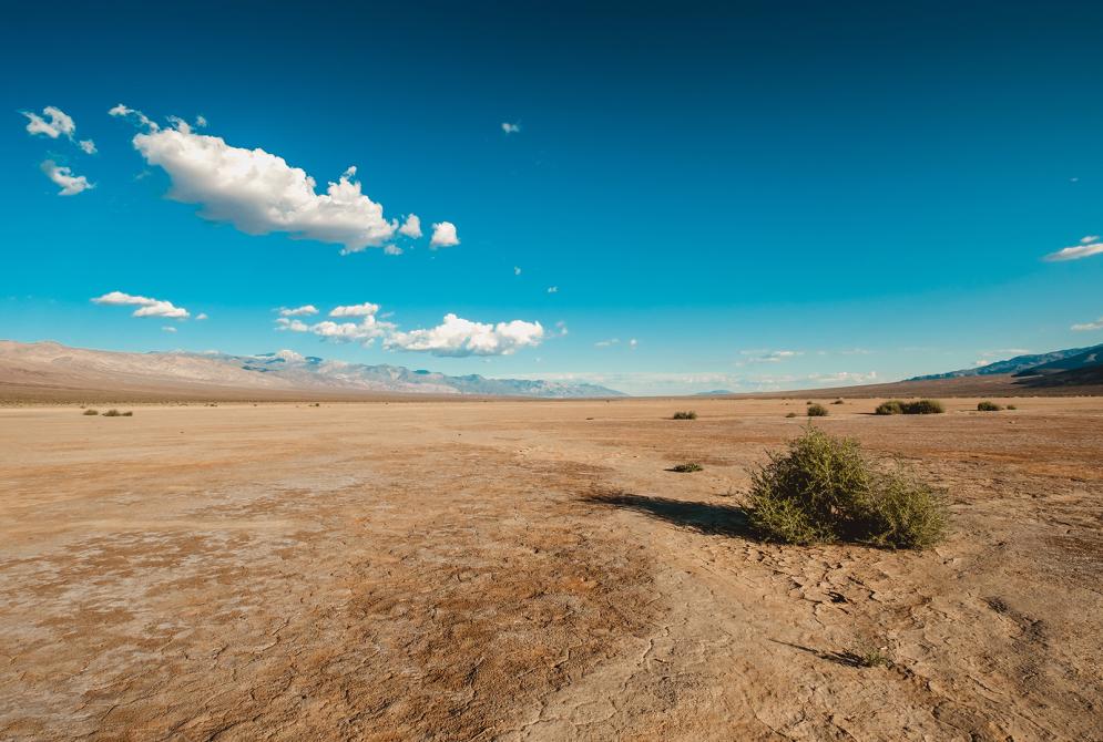 desert